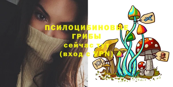 гашиш Богородск